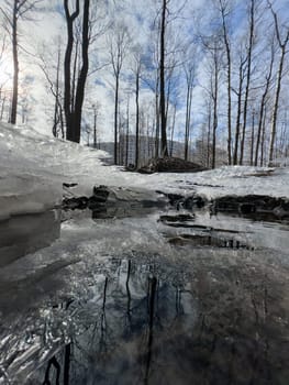 thin transparent ice on a puddle in the park on a spring day, foliage through the ice, dry grass through ice. High quality photo