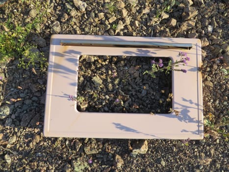 Retro Pink Oven Door by Purple Wildflowers Abandoned in Arizona Desert. High quality photo