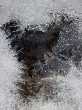 thin transparent ice on a puddle in the park on a spring day, foliage through the ice, dry grass through ice. High quality photo