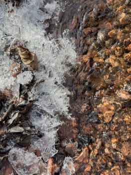 thin transparent ice on a puddle in the park on a spring day, foliage through the ice, dry grass through ice. High quality photo