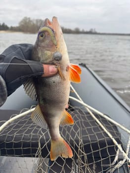 River fishing in a nature in the village