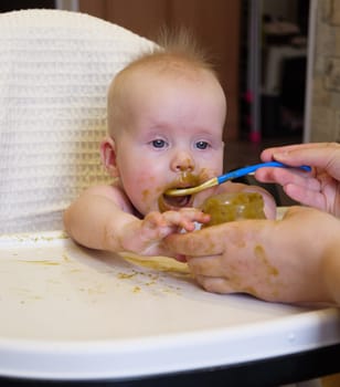 Mom feeding little boy with broccoli puree. Child at the age of six months eats broccoli while sitting on a baby chair.