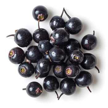 A pile of black currants, a seedless fruit, displayed on a white table background. These natural foods are small berries grown on a plant