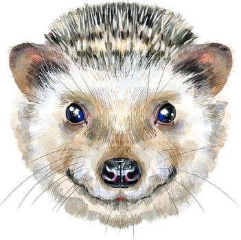 Watercolor drawing of the animal - hedgehog, sketch