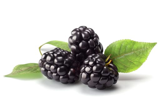 Black raspberries with stem isolated on a white background, 3d render