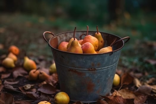 Close-Up View Of A Bucket Of Pears Under A Tree In The Forest