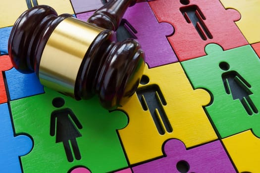 A puzzle of male and female figures as a symbol of diversity and equality and a gavel as concept of law.