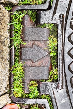 Concept of Direction and Movement, and Path to Development and Progress, Metal Right Arrow Surrounded by Green Grass, Symbol of Harmonious Fusion of Modern Technology and Nature, Vertical Frame