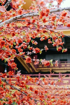 imitation flower, artificial Japanese cherry blossoms in full bloom. Beautiful flowers background.