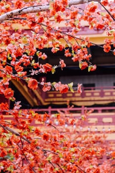 imitation flower, artificial Japanese cherry blossoms in full bloom. Beautiful flowers background.