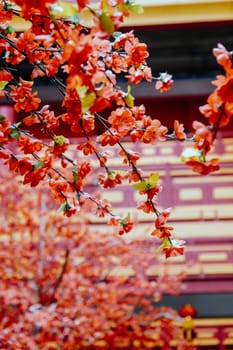 imitation flower, artificial Japanese cherry blossoms in full bloom. Beautiful flowers background.