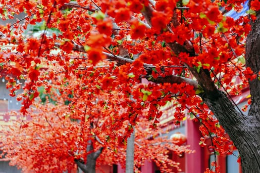 imitation flower, artificial Japanese cherry blossoms in full bloom. Beautiful flowers background.