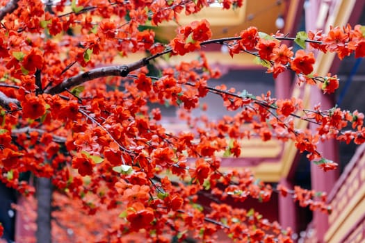 imitation flower, artificial Japanese cherry blossoms in full bloom. Beautiful flowers background.