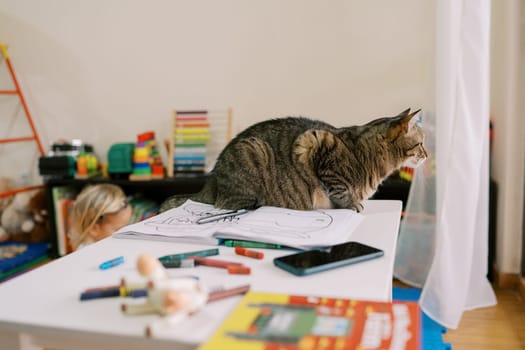 Tabby cat sits on a table next to colored pencils and an album and looks out the window. High quality photo