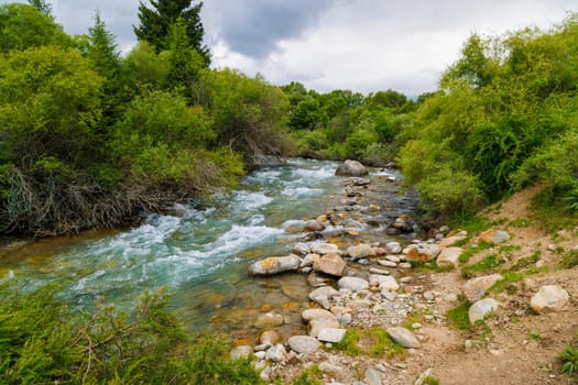 Water of rocky river flowing through green bushes under cloudy skies, surrounded by lush greenery at summer day.