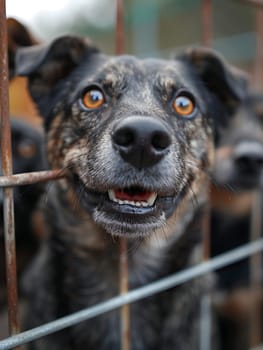 Busy Pet Shelter Finding Forever Homes for Furry Friends, The energetic blur of pets and adopters highlights the compassionate business of animal care.