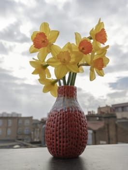 Bunch of daffodils in a red ceramic vase on the terrace with sky background. Arrangement of Yellow Spring Flowers Daffodils, Amazing view background with Yellow flowers, Copy space, Selective focus.