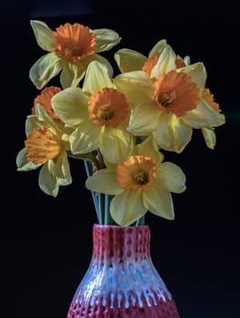 Arrangement of Yellow Spring Flowers Daffodils. Bunch of daffodils in a red ceramic vase on a dark background, Amazing dark background with Yellow flowers, Copy space, Selective focus.