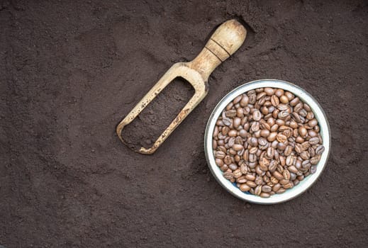 Coffee beans in round bowl with Coffee powder in wooden scoop with Coffee powder background. lternative coffee for living life, Coffee concept, Space for text, Selective focus.