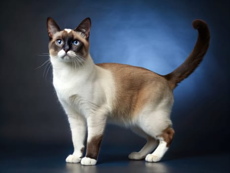 a beautiful purebred cat on a beautiful background. ai generative quality