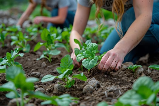 Several individuals actively gardening, planting, weeding, and watering plants in a group setting.