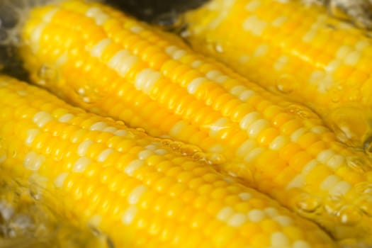 Fresh corn on the cob being grilled in a hot pan, sizzling and caramelizing to perfection.