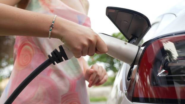 Closeup woman recharge EV electric car's battery at parking lot in natural green park. Clean energy technology for rechargeable vehicle for sustainable and eco friendly travel. Synchronos