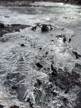 thin transparent ice on a puddle in the park on a spring day, foliage through the ice, dry grass through ice. High quality photo