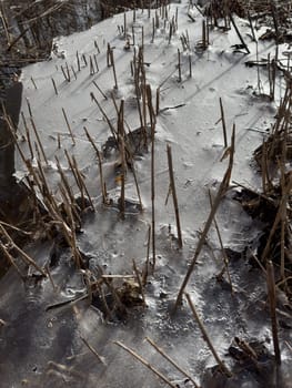 thin transparent ice on a puddle in the park on a spring day, foliage through the ice, dry grass through ice. High quality photo