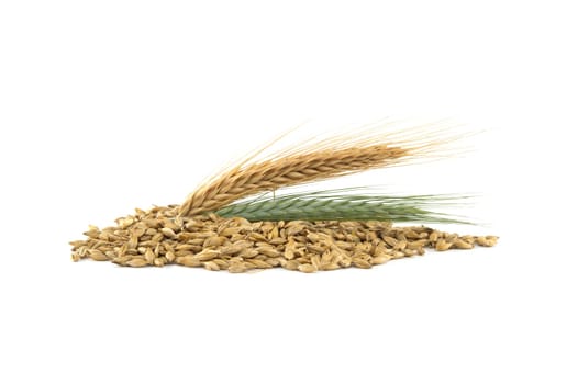 Barley seeds with the outer husk and barley ears isolated on white background, new grain harvest concept