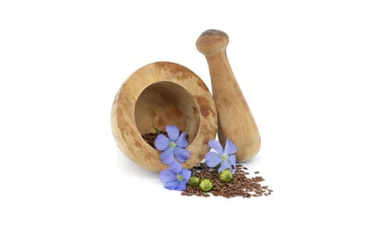 Vibrant blue flax flower is sitting on wooden mortar filled with small brown linseed near flax fruit round capsules isolated on white background
