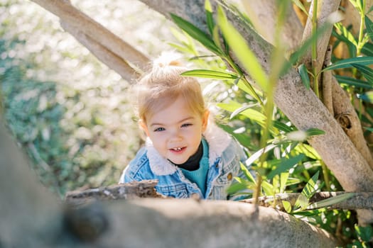 Little smiling girl stands under a tree and looks up. Top view. High quality photo