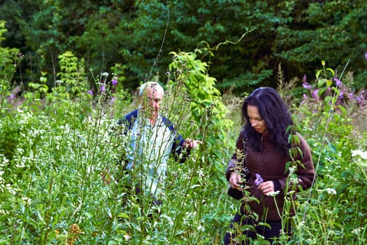 the activity of going for long walks, especially in the country or woods