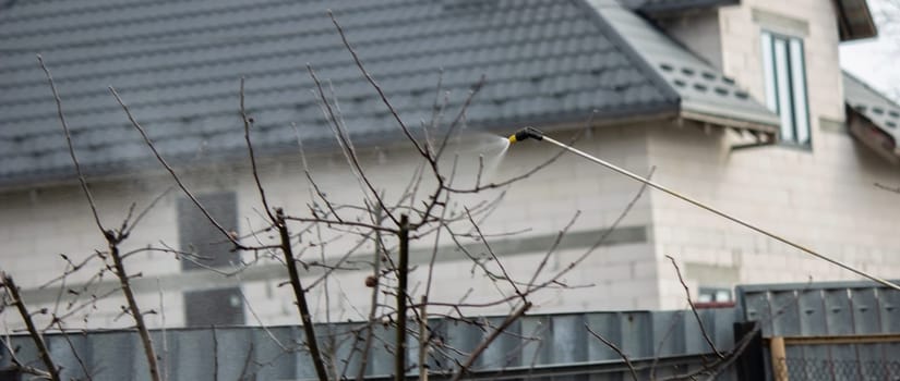 a man sprays trees in the spring.