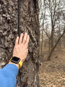 A man's hand touches the trunk of a huge tree in the park, a man is wearing a blue hoodie, a smartwatch with a yellow strap on his arm. High quality photo
