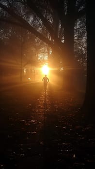 Early Morning Jogger's Silhouette Against a Misty Park Sunrise, A runner's motion blurs into the dawn, reflecting health and routine in urban life.