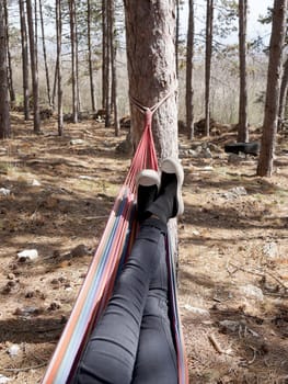 female legs on a hammock in a pine forest on a sunny day.
