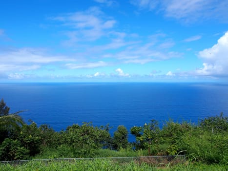 A mesmerizing view from a higher elevation captures the essence of the Big Island’s coastal beauty. The vast ocean stretches toward the horizon, its surface mirroring the clear blue sky above. Scattered clouds cast soft shadows on the water, adding to the allure. In the foreground, lush green vegetation and trees thrive, revealing the island’s rich natural environment. A protective fence stands before the vegetation, ensuring safety at this captivating lookout point.