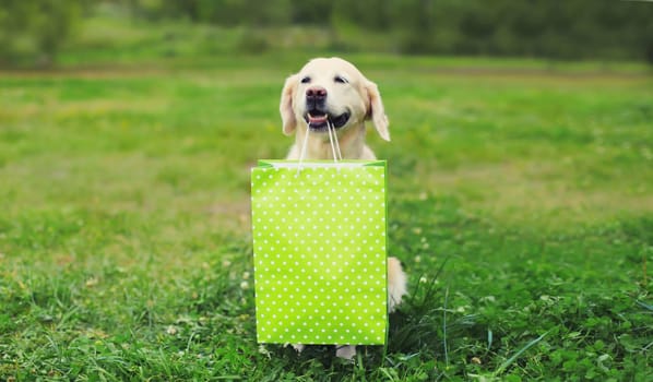 Happy Golden Retriever dog holding green shopping bag in the teeth in summer park