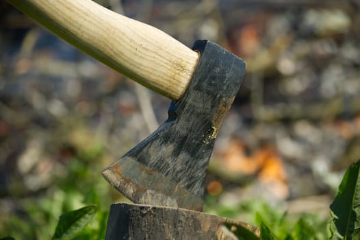 Close up of axe stuck in the stump of a tree, burning campfire in the background, outdoor activities such as chopping wood, splitting logs or environmental resource management