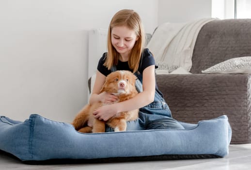 Small Girl With Toller Puppy Sits In Blue Dog Bed, Nova Scotia Duck Tolling Retriever