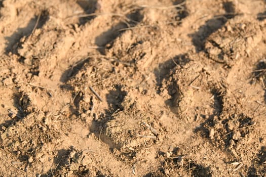 Traces of a tractor after harvesting flax