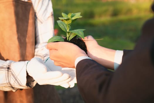 Eco-business company empower farmer with eco-friendly farming practice and clean agricultural technology. Cultivate sustainable future nurturing plants to grow and thrive. Gyre