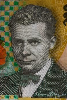 LEI money banknotes, detail photo of RON. Romanian currency