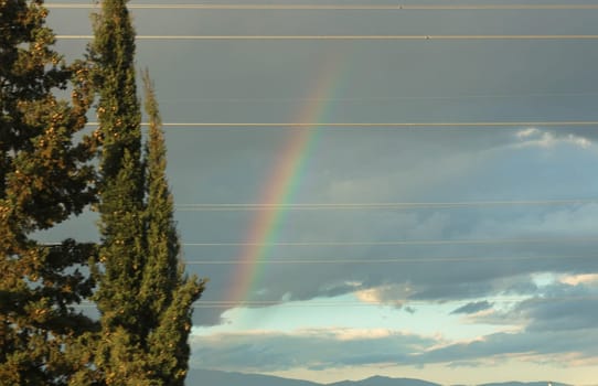 Embark on a visual journey as you capture the stunning beauty of a rainbow set against a backdrop of dramatic clouds