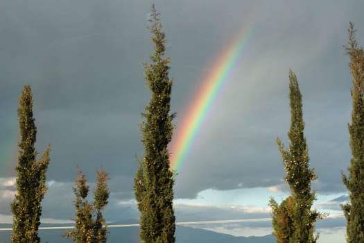 Embark on a visual journey as you capture the stunning beauty of a rainbow set against a backdrop of dramatic clouds