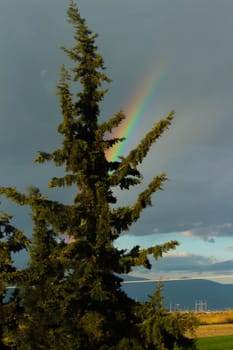 Embark on a visual journey as you capture the stunning beauty of a rainbow set against a backdrop of dramatic clouds