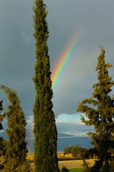 Embark on a visual journey as you capture the stunning beauty of a rainbow set against a backdrop of dramatic clouds