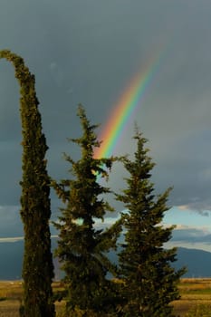 Embark on a visual journey as you capture the stunning beauty of a rainbow set against a backdrop of dramatic clouds