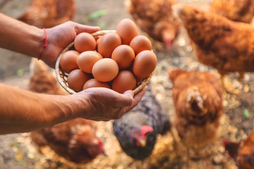 Homemade chicken eggs are held by a farmer in his hands. Selective focus. food.